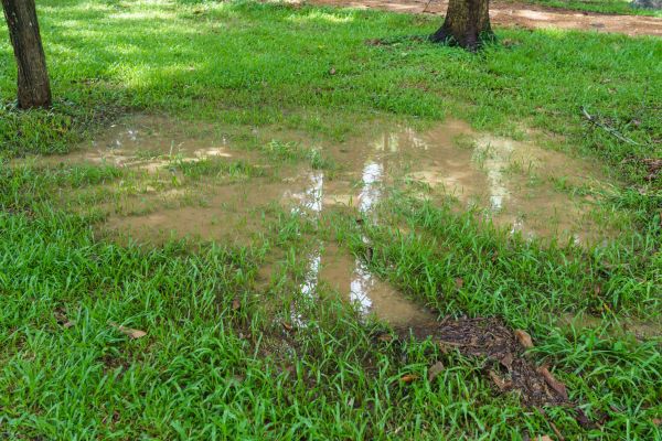 Cost of Storm Water Drainage Service in O Fallon