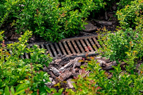 Cost of Underground Drainage Service in O Fallon