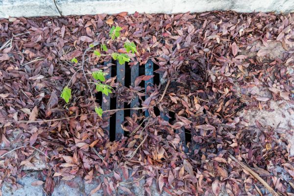 Cost of Yard Drain Unclogging in O Fallon