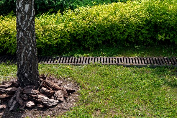 Cost of Yard Water Redirection in O Fallon