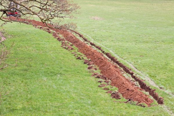 Cost of Swale Installation in O Fallon