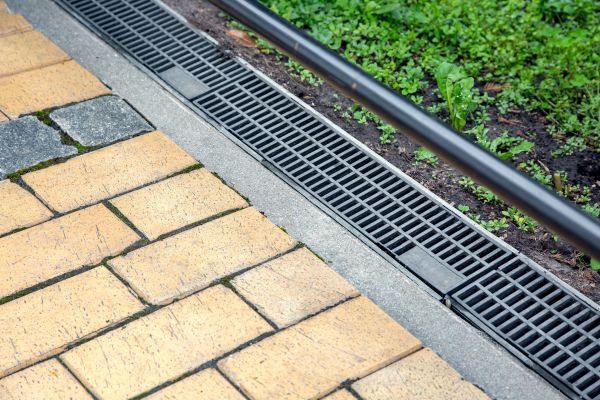 Cost of Waterlogged Yard Repair in O Fallon