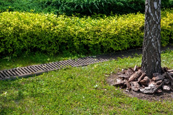 Cost of Residential Landscape Drainage in O Fallon