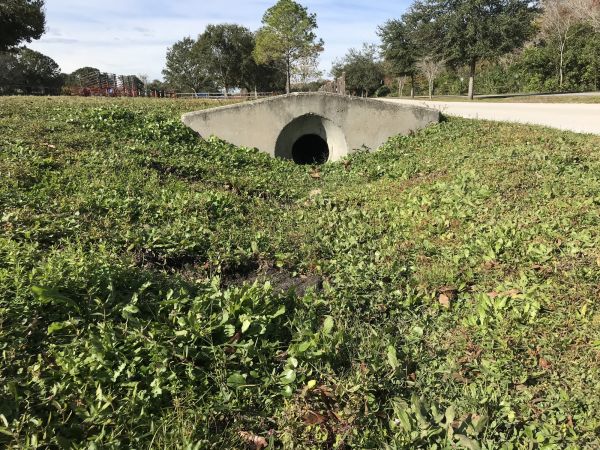 Cost of Swale Drainage Service in O Fallon